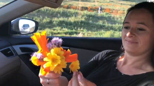 Маковое поле. Качественный звук!