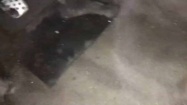 Картошка в салоне. Свои Люди Миасс смотреть онлайн