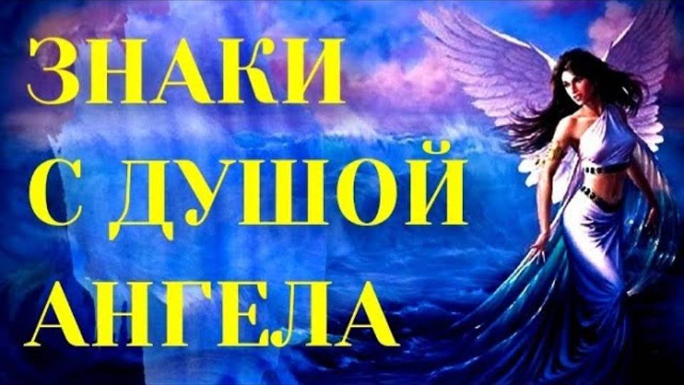 3 ЗНАКА ЗОДИАКА С ДУШОЙ АНГЕЛА. Гороскоп. Астрология смотреть онлайн