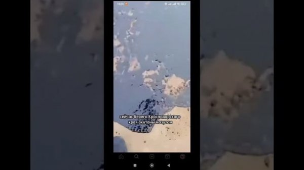 анапа мазут