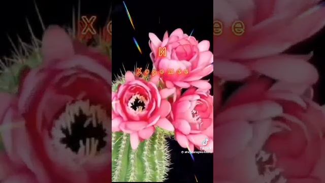 1000002235.mp4