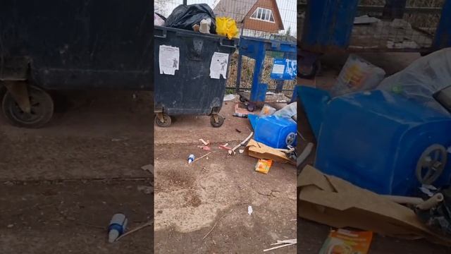 ВНИМАНИЕ❗️ШТРАФ❗️СВИНЬЯ среди НАС⁉️#экология #мусор #штраф #тко #ок #тбо #жизнь #образжизни #блогер смотреть онлайн