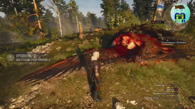 4 ♡ Ведьмак 3. Дикая охота — издание «Игра года». Gameplay. Прохожу видеоигру.