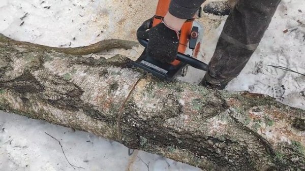 Валка Берёзы