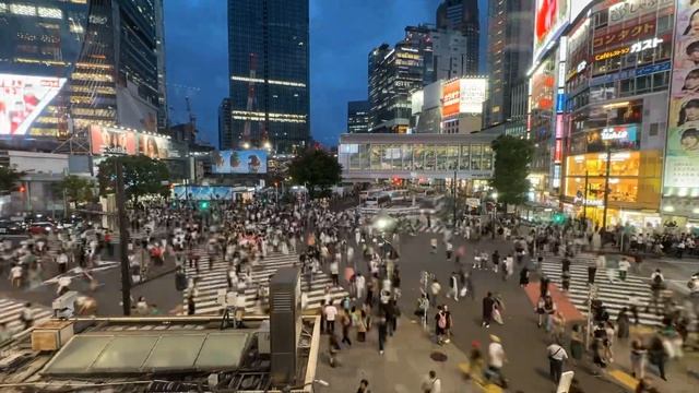 Shibuya scramble crossing time lapse смотреть онлайн
