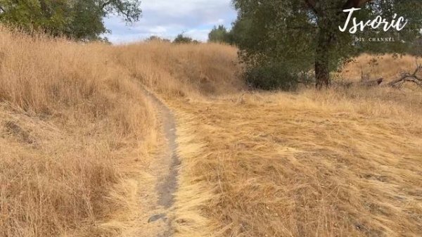 На прогулку в поисках природных материалов для работы / DIY TSVORIC