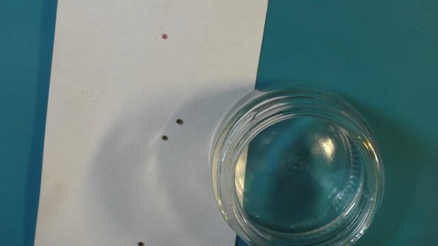 Что можно найти в бушонах смотреть онлайн