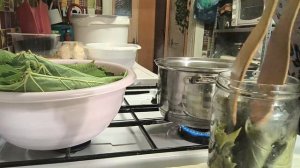 ВИНОГРАДНЫЕ ЛИСТЬЯ НА ЗИМУ  ДЛЯ ДОЛМЫ