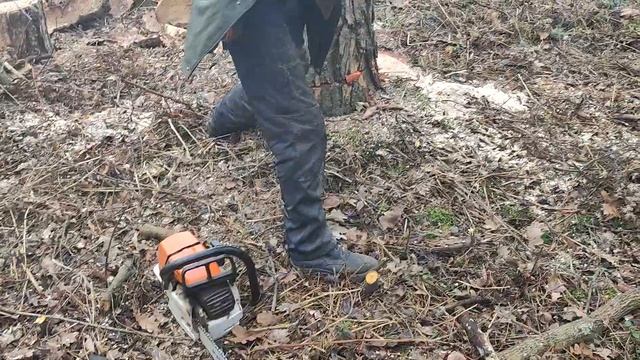 Валка дерева неудачно получилось