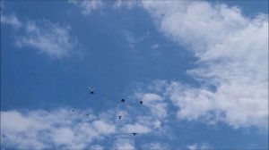 Сельские голуби. 24 06 2022 года часть 2 ,Северная Осетия Беслан в гостях у Алана.8 928 0657055.