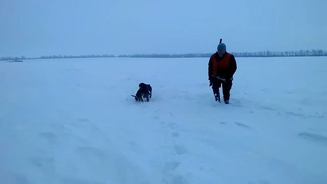 Лорд охотник смотреть онлайн