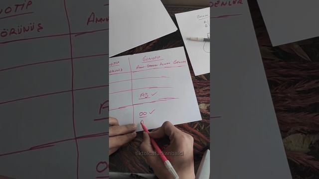 Kan Grubu Üzerine Bir Soru смотреть онлайн