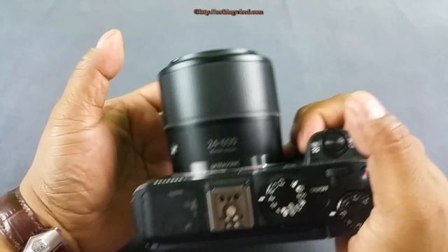 Canon Powershot G3X Review: Your Large-sensor Pocket Camera For Bird Photography