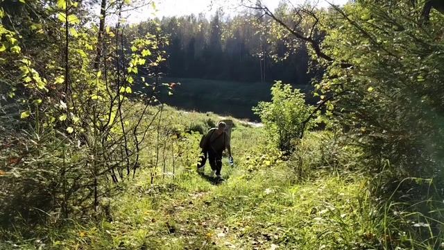 Одиночный сплав на сапе - 2 дня, 28 км. Sup-поход смотреть онлайн