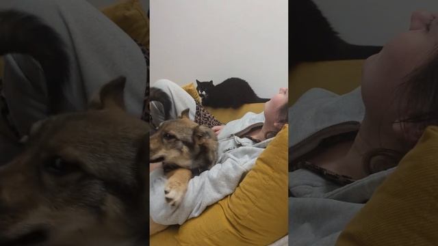 8 декабря 2024 г. смотреть онлайн