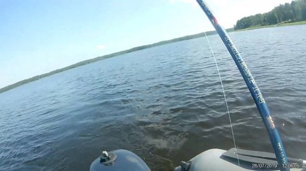 окунь на воблер понтон 21 гагагун 55