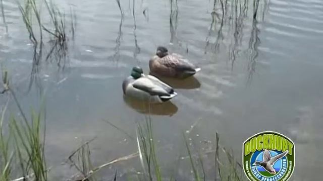 Чучела спящей кряквы Greenhead Gear® Pro-Grade Series™.mpg смотреть онлайн