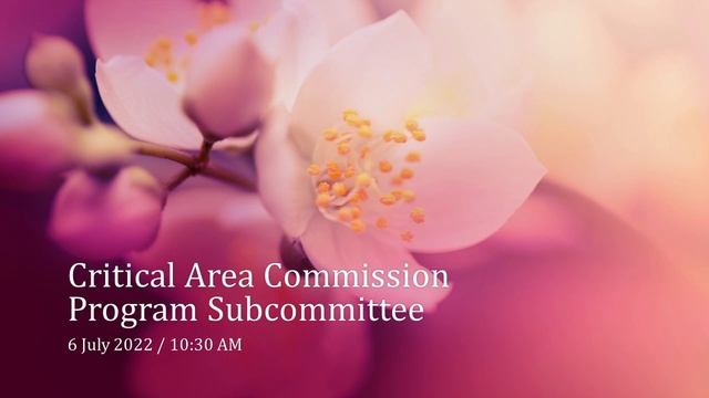 Critical Area Commission Project Subcommittee Meeting - July 6, 2022 смотреть онлайн