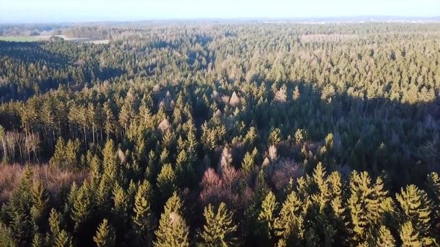 Энергетические Границы-1 смотреть онлайн