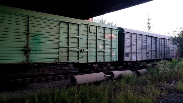 Маневровый тепловоз ТЭМ2У-8829 за маневровой работой смотреть онлайн