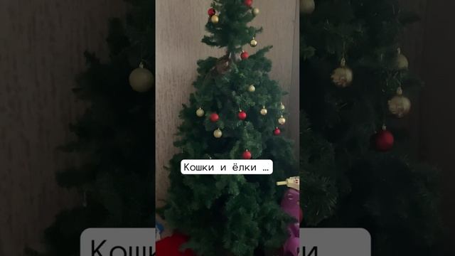 Остались от ёлочки - ножки да рожки ...