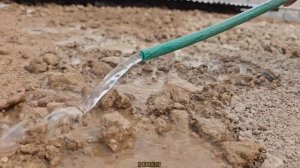 village life  We will watch the unity in construction in the Peren family @peren466