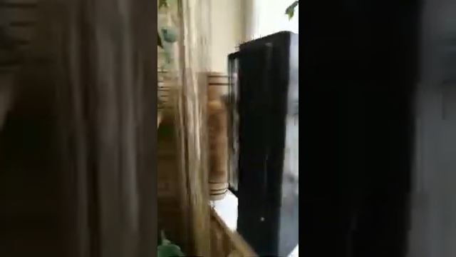 Tannoy 633 смотреть онлайн