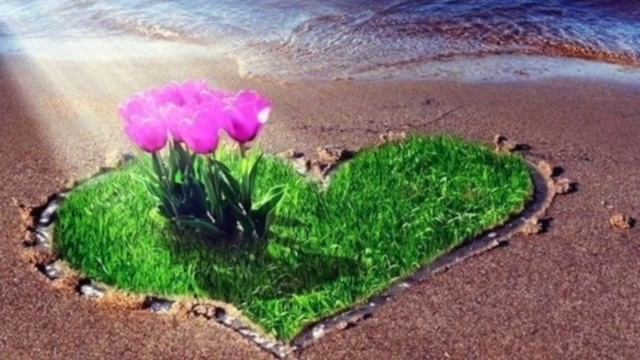 Erga itoat yohud Ayol va tarvuz hikoyasi смотреть онлайн