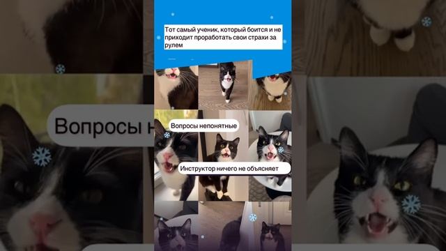 если есть отговорки, то права вы не получите.