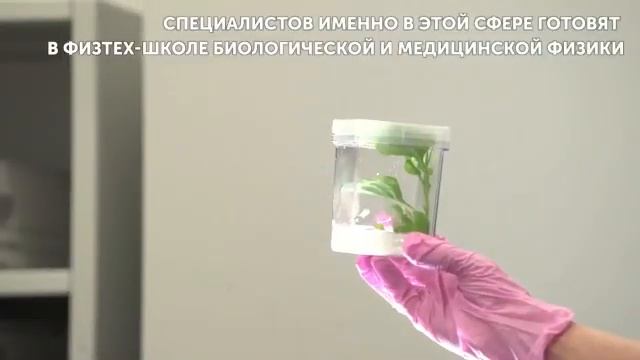 Григорьева Елизавета, репетитор по биологии и химии промо-ролик смотреть онлайн