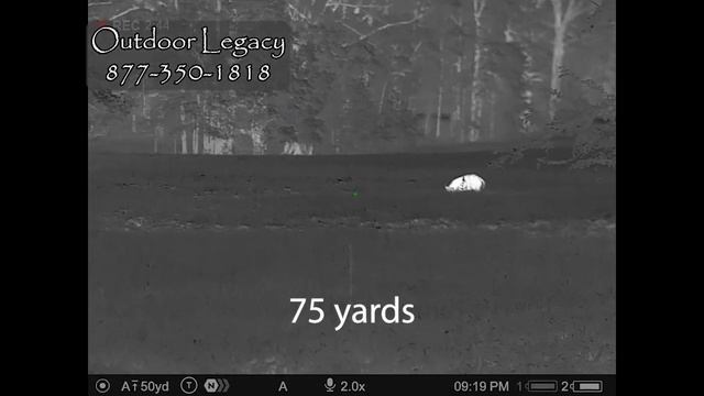 Pulsar Thermion 2 XP50 Pro | The best thermal image under $5k? смотреть онлайн