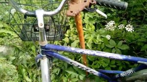 Велосипед Стелс навигатор 350.mp4