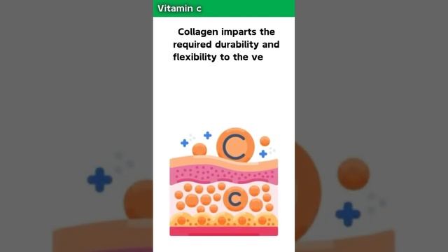 Vitamin C for verifies veins#healthyfood #fruit #food смотреть онлайн