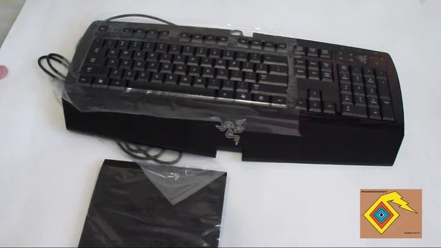 Razer Arctosa - For Gamers By Gamers - Unboxing - # 100 смотреть онлайн