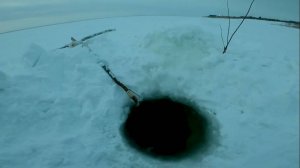 Рыбалка у чёрной дыры. Сорок седьмая серия.