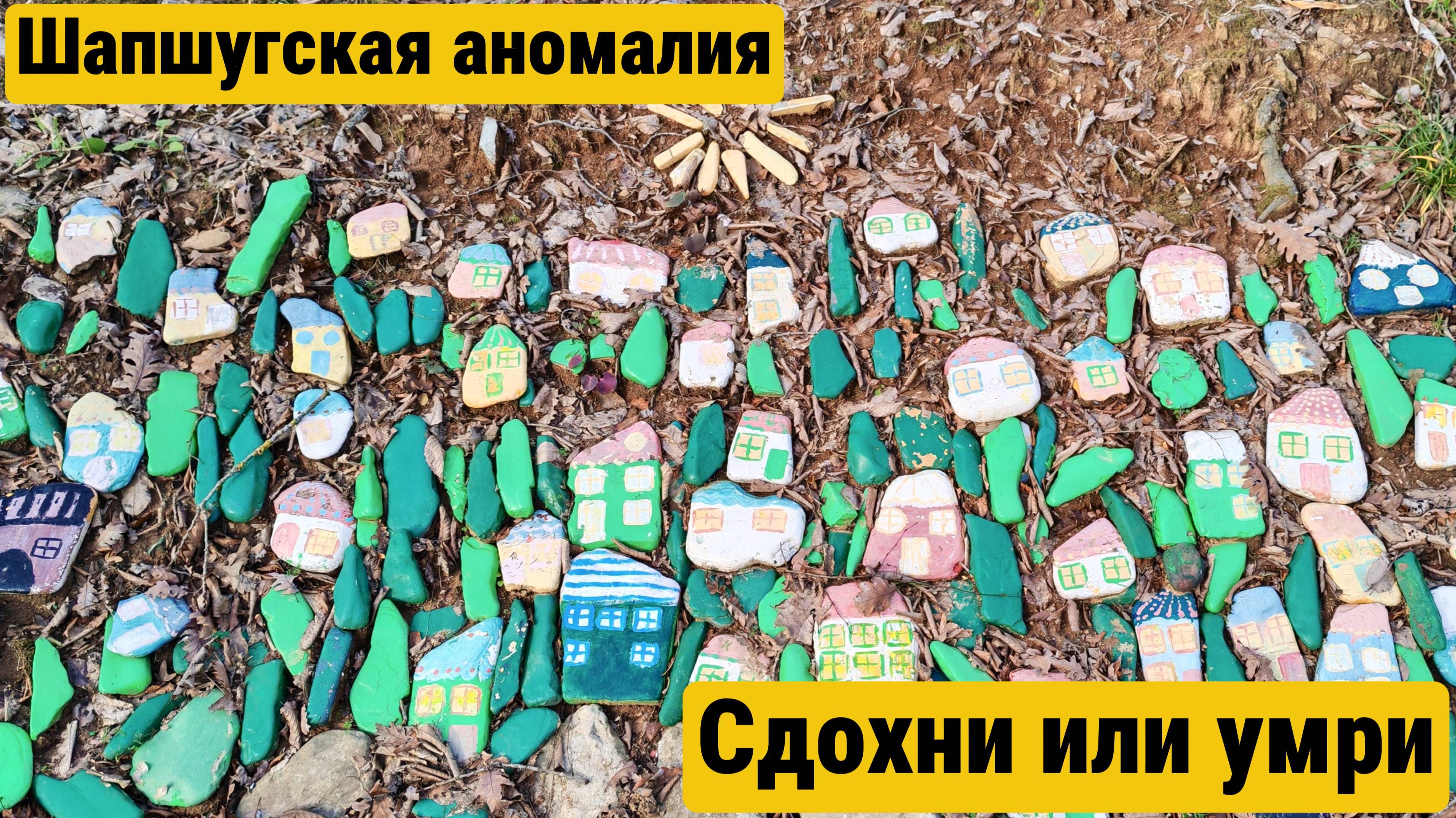 Прогулка в Шапшугскую аномалию с Утиными историями