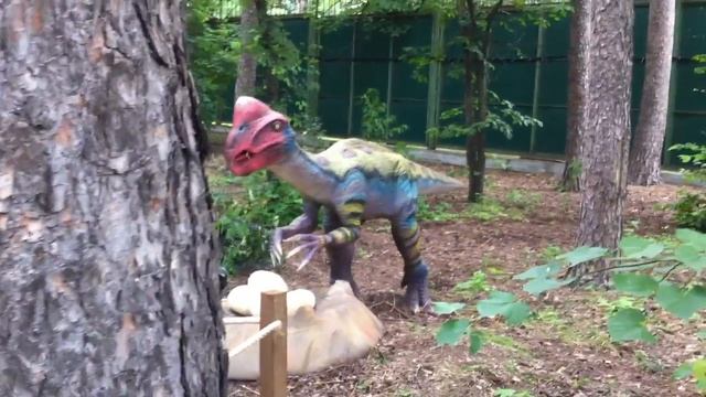 динозавр Овираптор