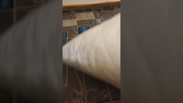 Подушка с Озон. Добралась до севера. Новая. смотреть онлайн