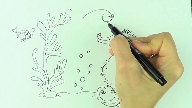 draw sea animals /dengiz hayvonlarini chizish смотреть онлайн