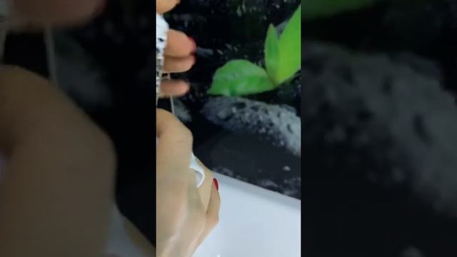 Зубной порошок смотреть онлайн