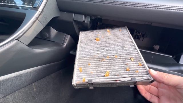 2019 - 2022 Toyota Avalon How to locate and replace the cabin air filter смотреть онлайн
