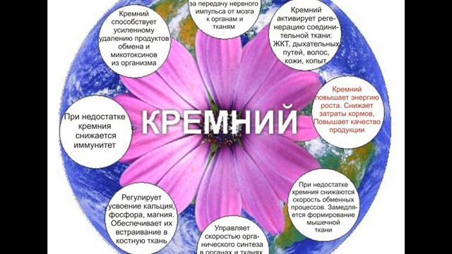 Малоедение отчет 31 день смотреть онлайн
