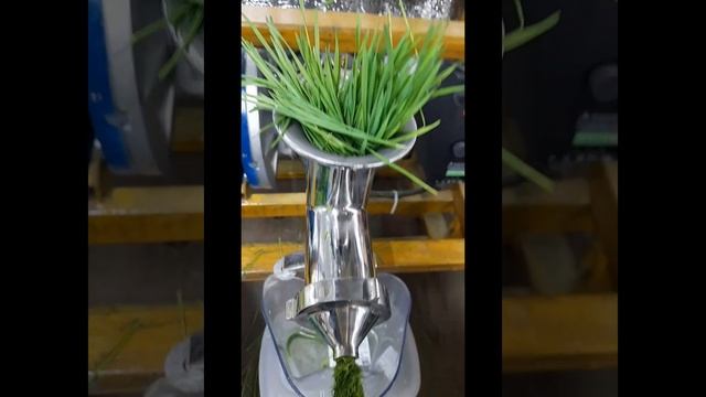 Витграсс-сок