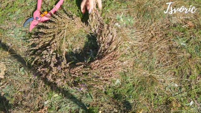 Heather Wreath / Как сплести венок из вереска // DIY TSVORIC