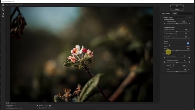 Секреты Фотошопа #14: Как сделать виньетку в фотошопе | Фото Лифт смотреть онлайн