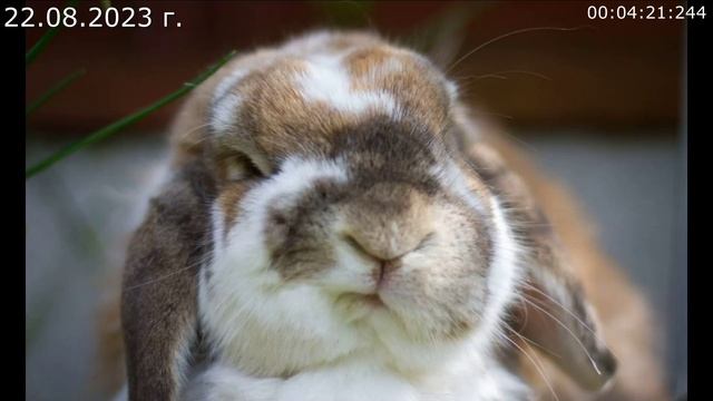 763 Ответ Алексею Зайцеву 22.08.2023 г смотреть онлайн