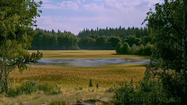 7-летний малыш нашел дневник погибшей матери, отец замер увидев это. Он решил действовать... смотреть онлайн