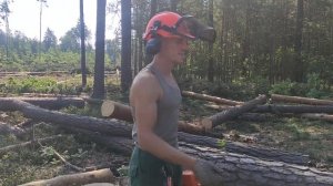 Валка леса /// Мастер Клас для новичков ///