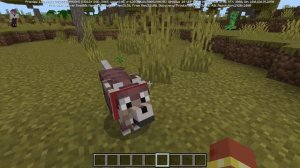 Minecraft Preview:БРОНЯ ДЛЯ СОБАК И Броненосец.