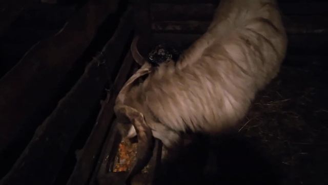 Слепой, а дом построил. Что нового за неделю. Родительское видео собрание. смотреть онлайн